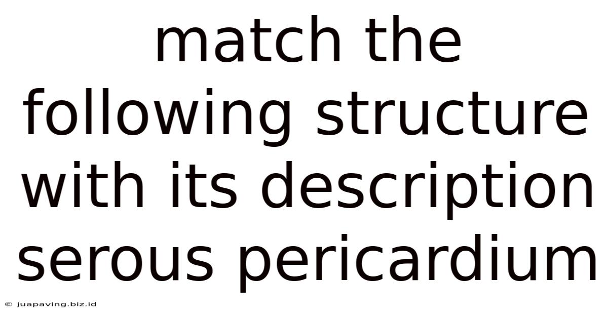 Match The Following Structure With Its Description Serous Pericardium