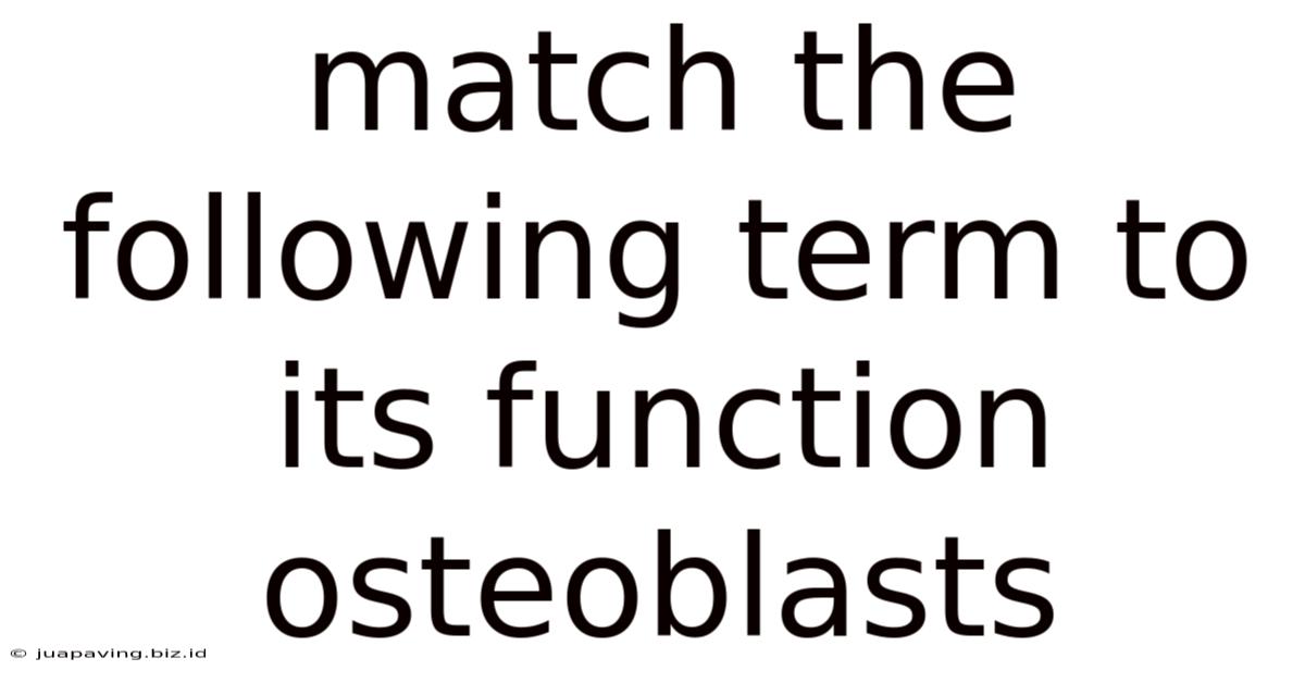 Match The Following Term To Its Function Osteoblasts