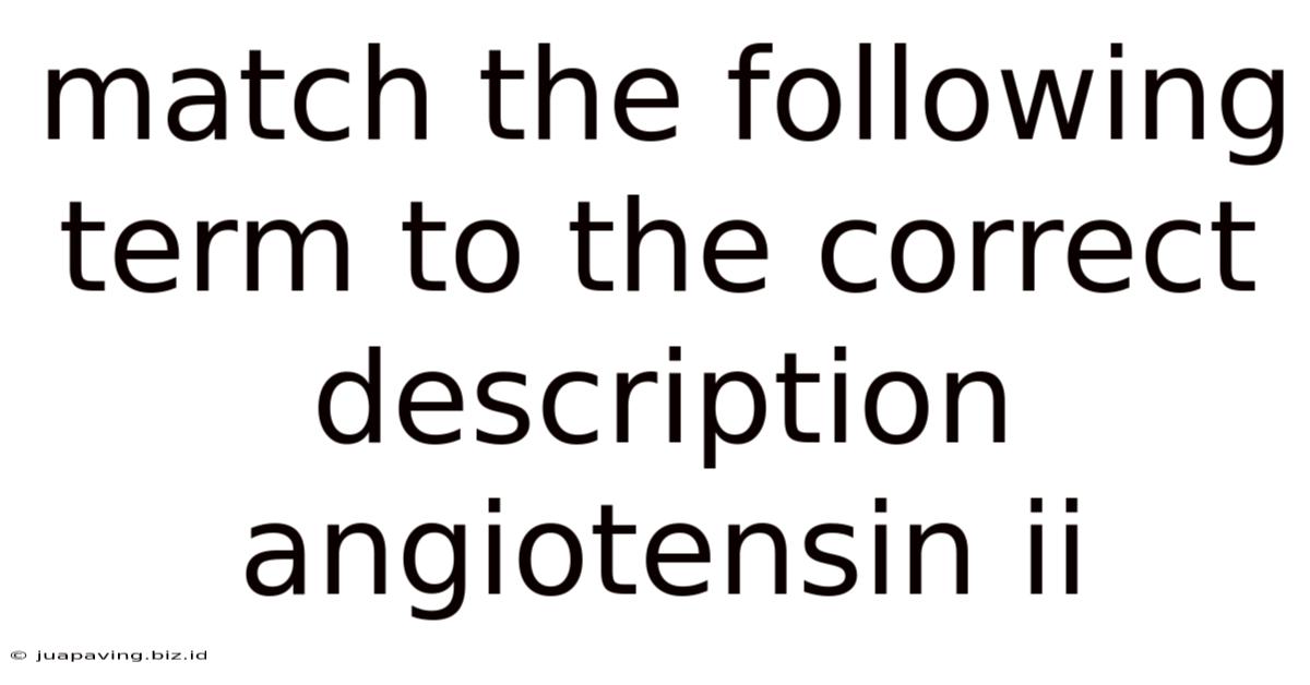 Match The Following Term To The Correct Description Angiotensin Ii