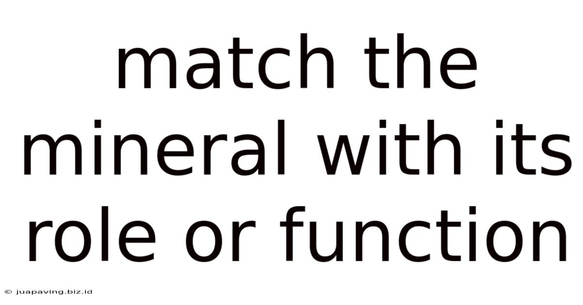 Match The Mineral With Its Role Or Function
