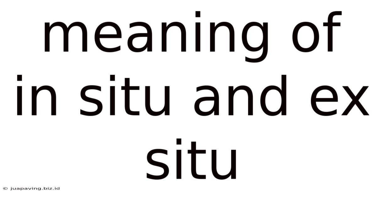 Meaning Of In Situ And Ex Situ