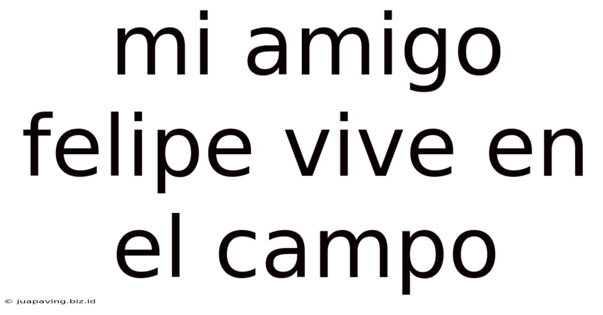 Mi Amigo Felipe Vive En El Campo