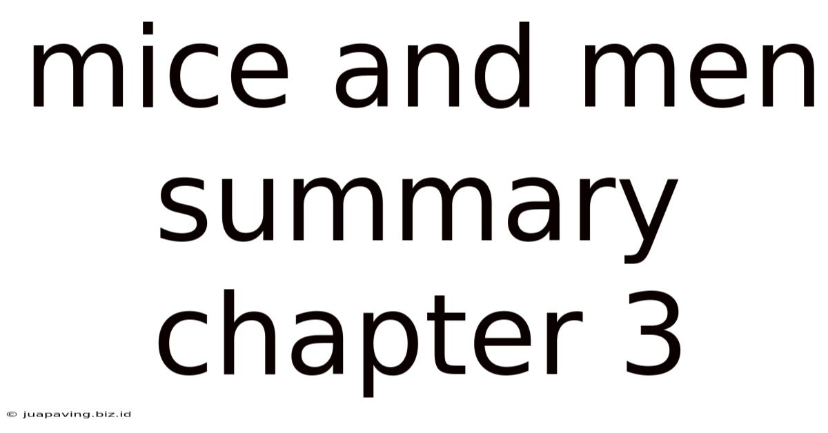 Mice And Men Summary Chapter 3