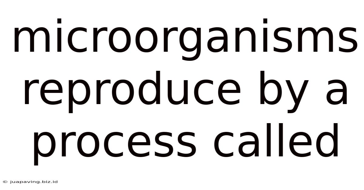Microorganisms Reproduce By A Process Called