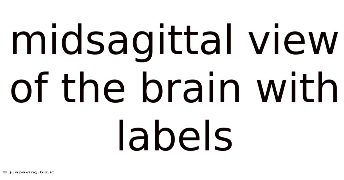Midsagittal View Of The Brain With Labels