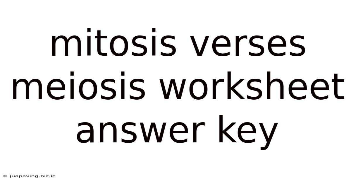 Mitosis Verses Meiosis Worksheet Answer Key