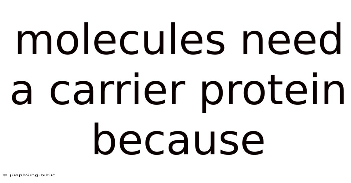 Molecules Need A Carrier Protein Because