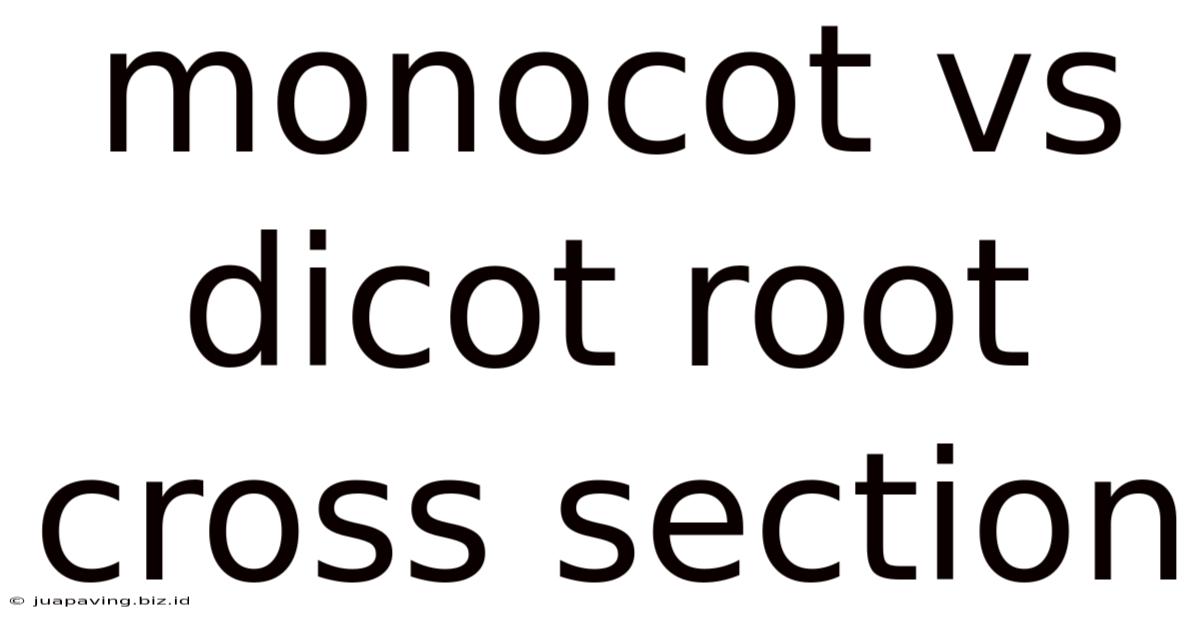 Monocot Vs Dicot Root Cross Section
