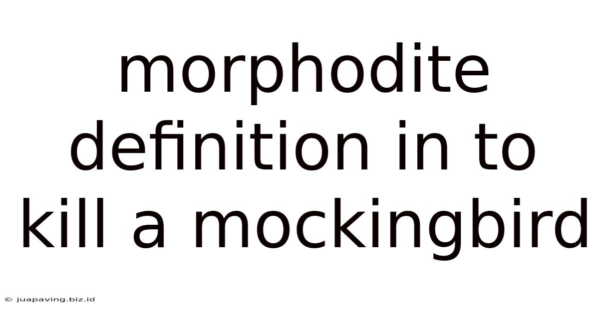 Morphodite Definition In To Kill A Mockingbird