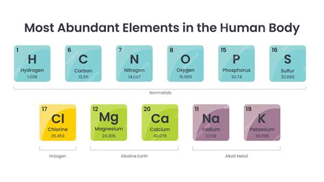 Most Abundant Element In The Body