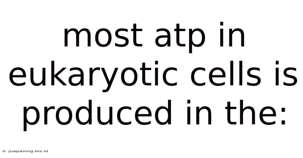 Most Atp In Eukaryotic Cells Is Produced In The: