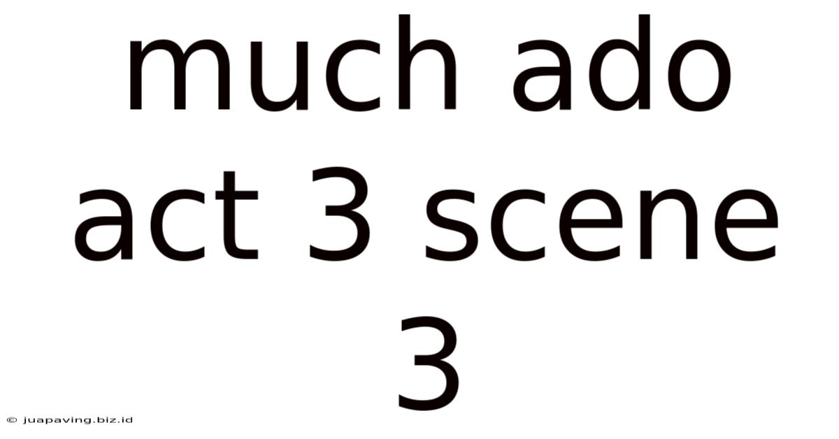 Much Ado Act 3 Scene 3