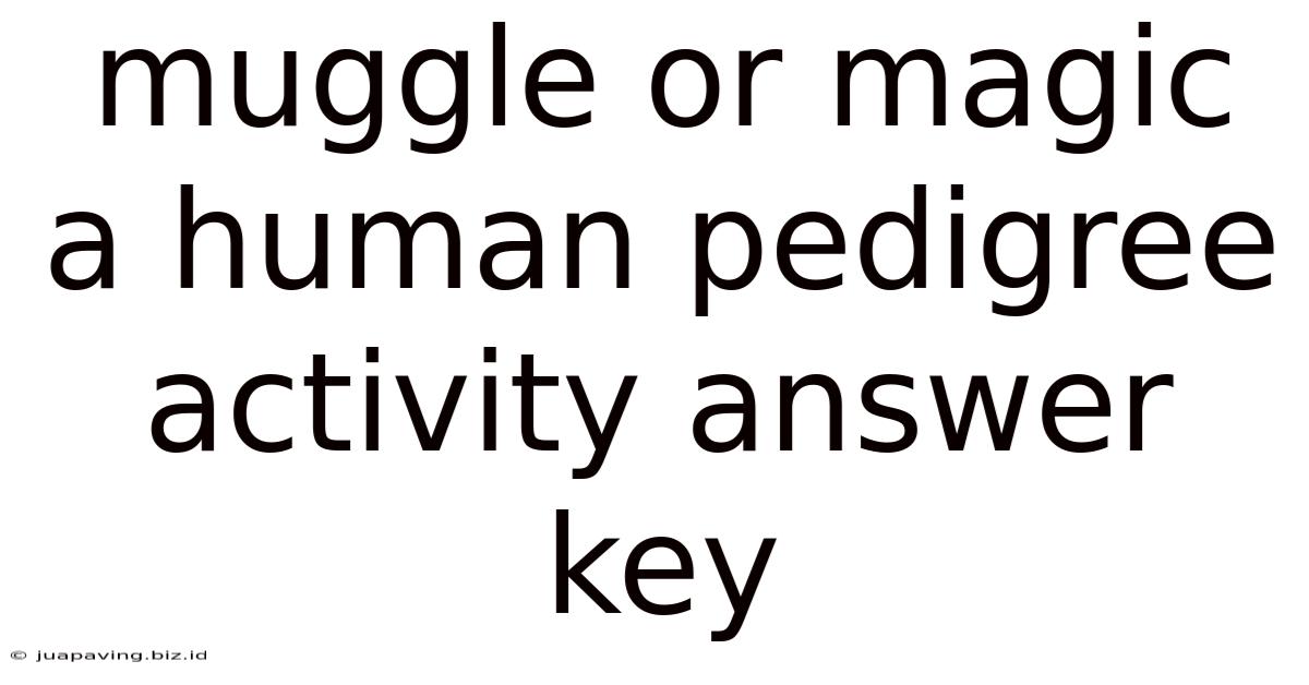 Muggle Or Magic A Human Pedigree Activity Answer Key