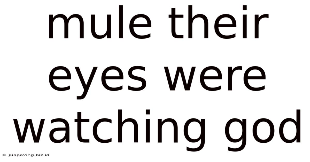 Mule Their Eyes Were Watching God