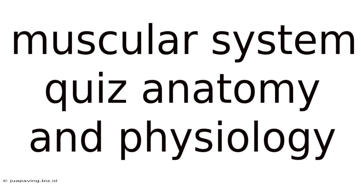 Muscular System Quiz Anatomy And Physiology