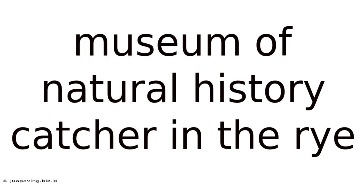 Museum Of Natural History Catcher In The Rye