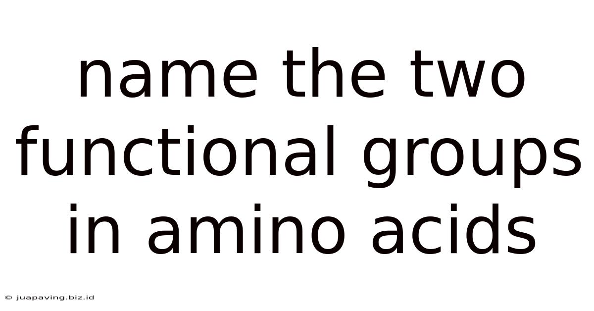 Name The Two Functional Groups In Amino Acids