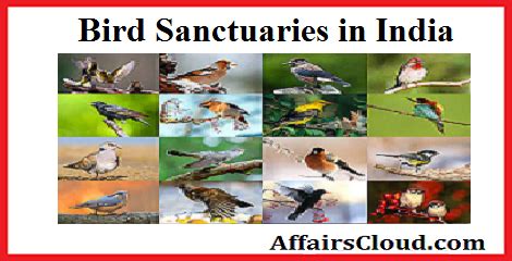 Names Of Bird Sanctuaries In India