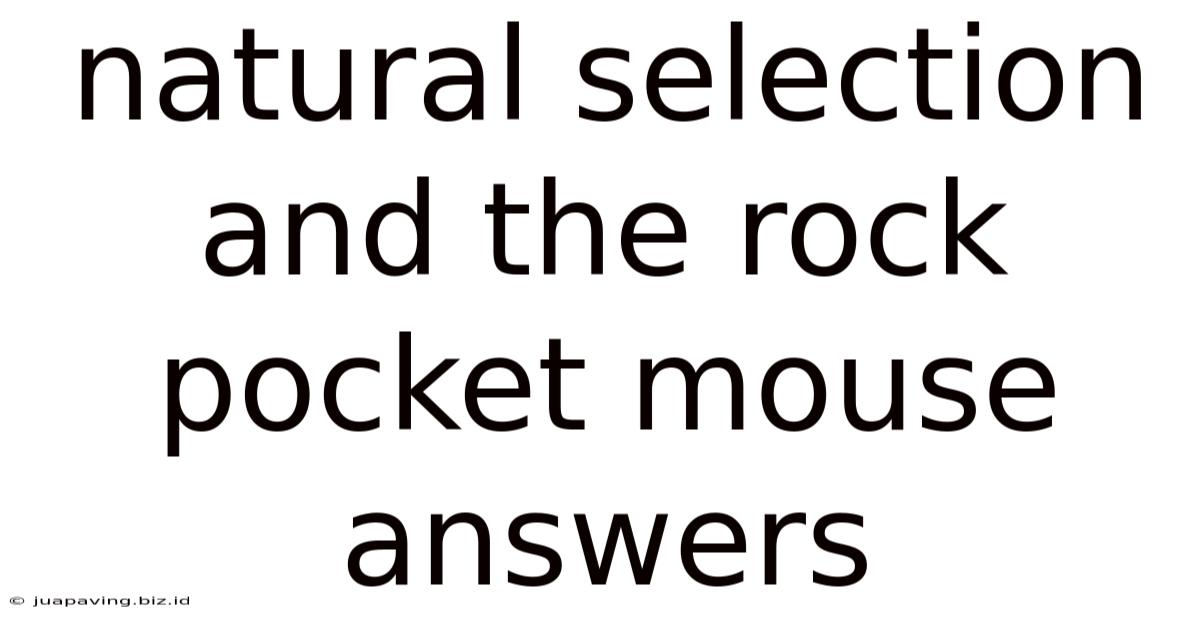 Natural Selection And The Rock Pocket Mouse Answers