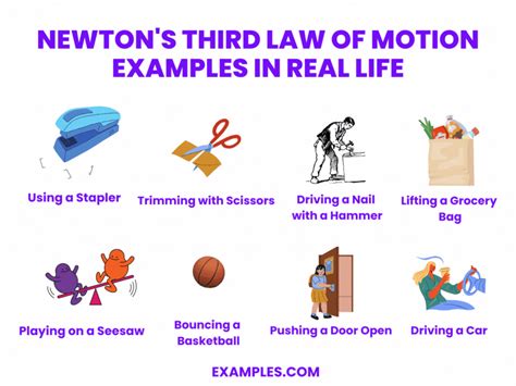 Newton's 3rd Law Real Life Examples