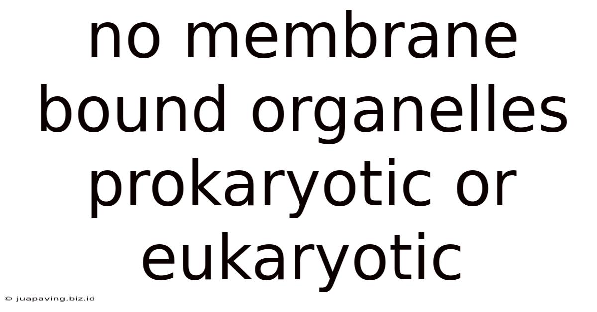 No Membrane Bound Organelles Prokaryotic Or Eukaryotic