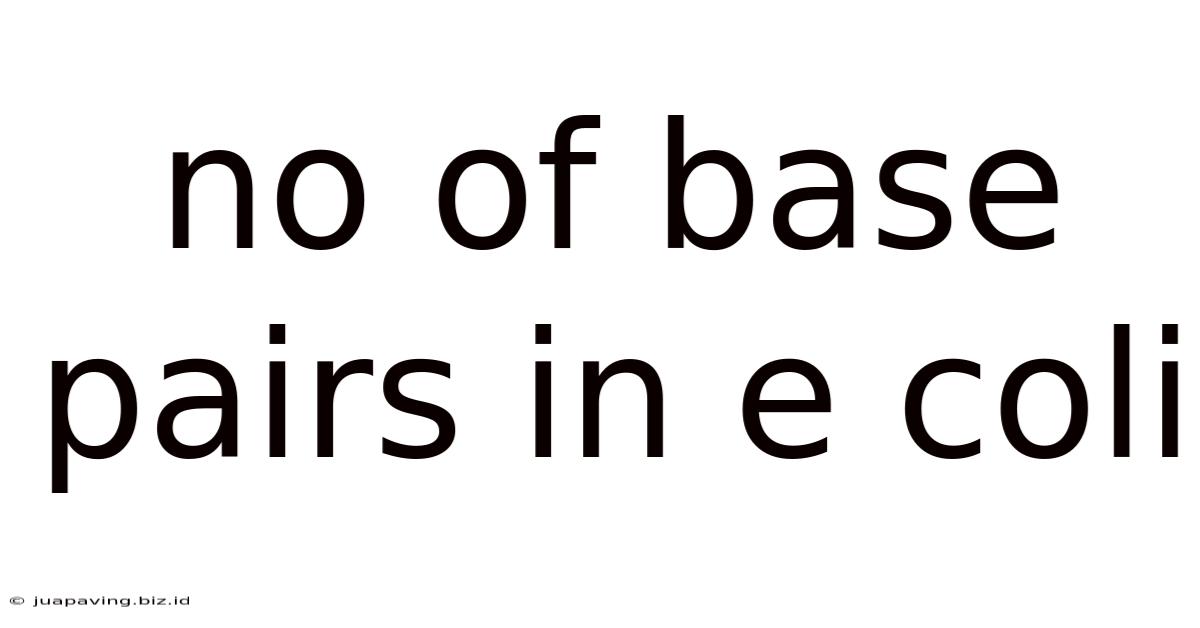 No Of Base Pairs In E Coli