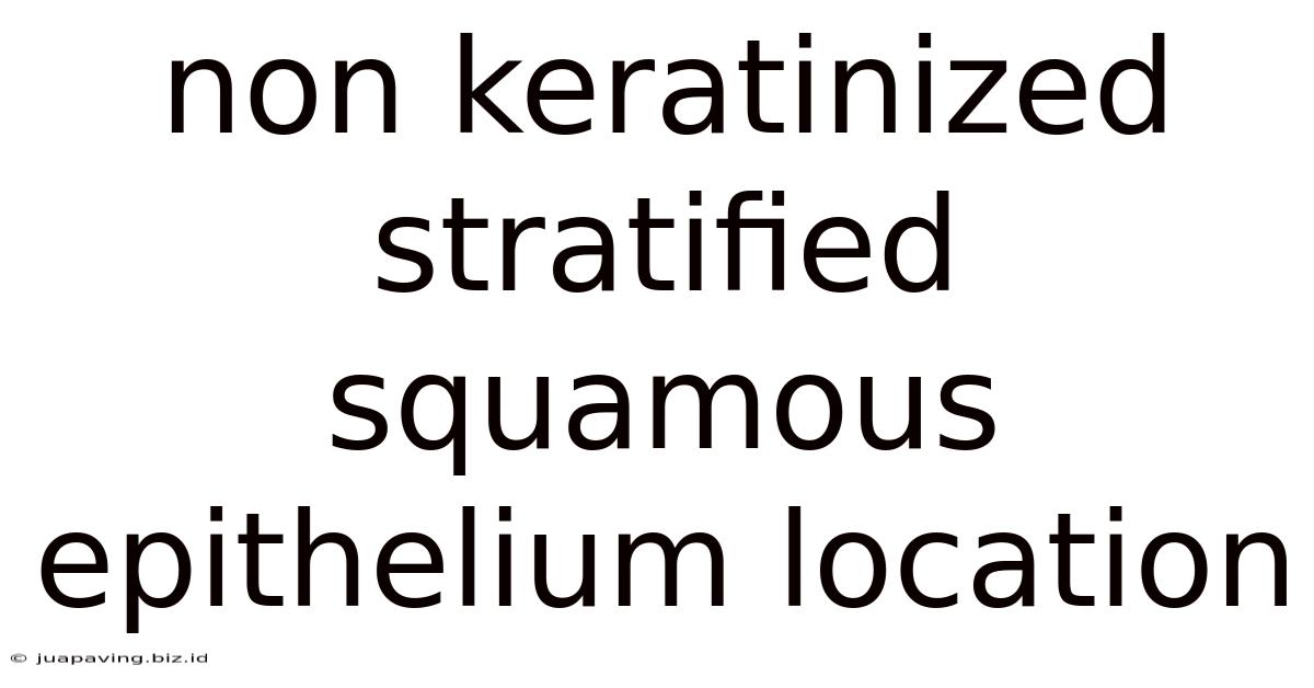Non Keratinized Stratified Squamous Epithelium Location