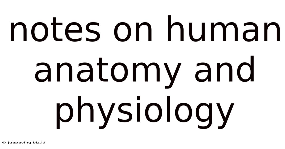 Notes On Human Anatomy And Physiology
