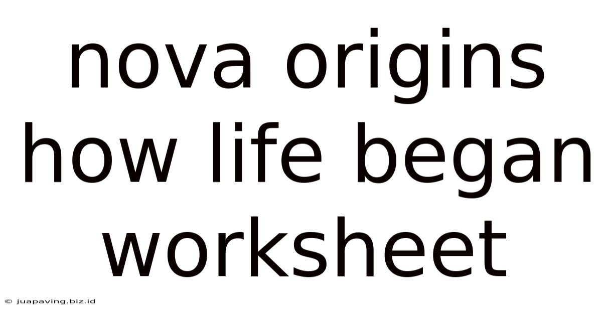 Nova Origins How Life Began Worksheet