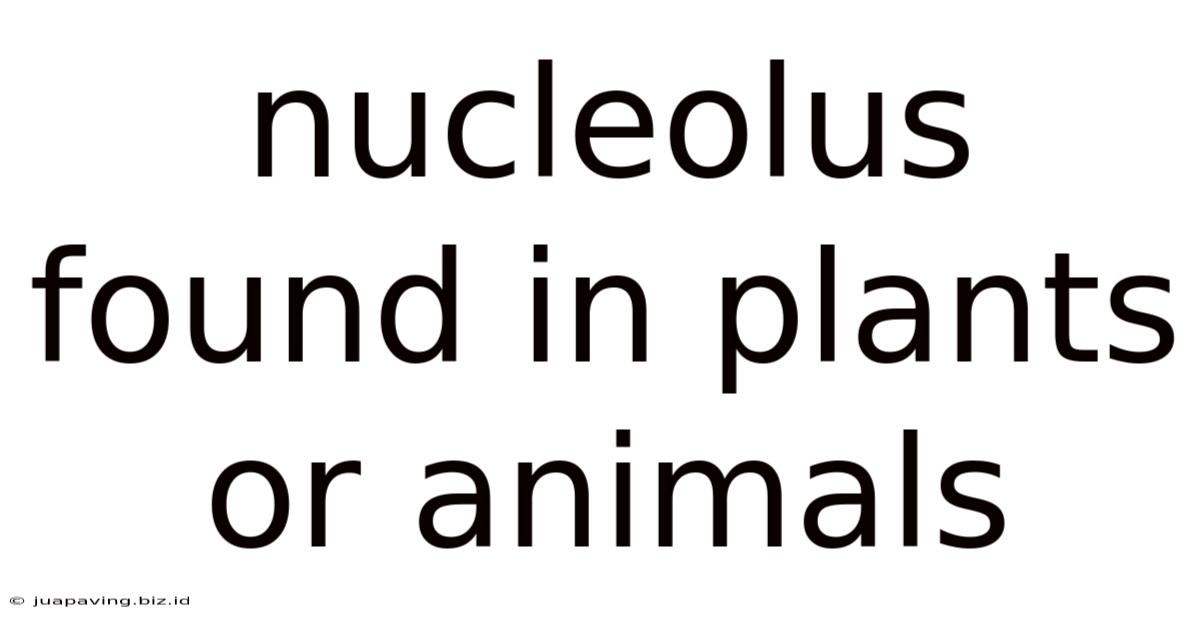 Nucleolus Found In Plants Or Animals