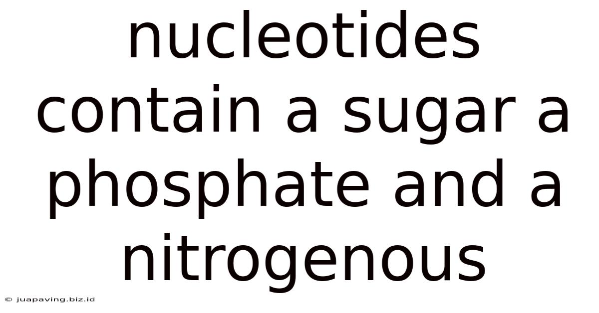 Nucleotides Contain A Sugar A Phosphate And A Nitrogenous