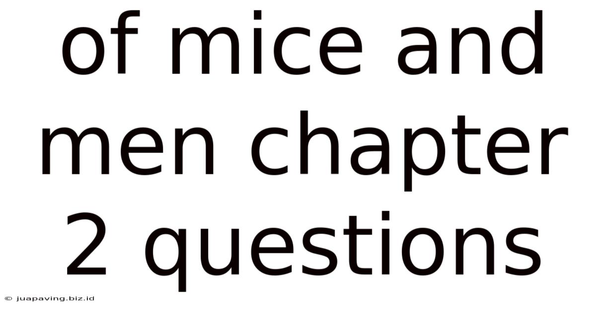 Of Mice And Men Chapter 2 Questions
