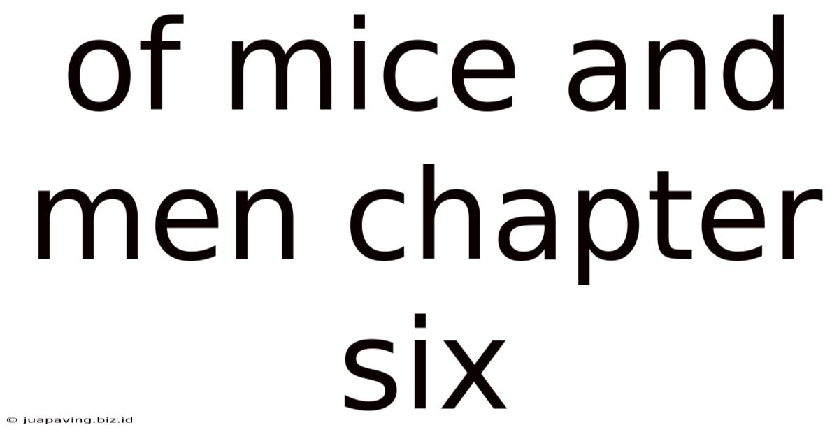 Of Mice And Men Chapter Six