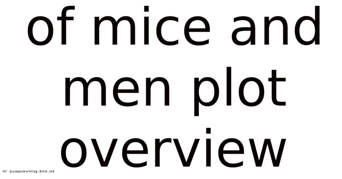 Of Mice And Men Plot Overview