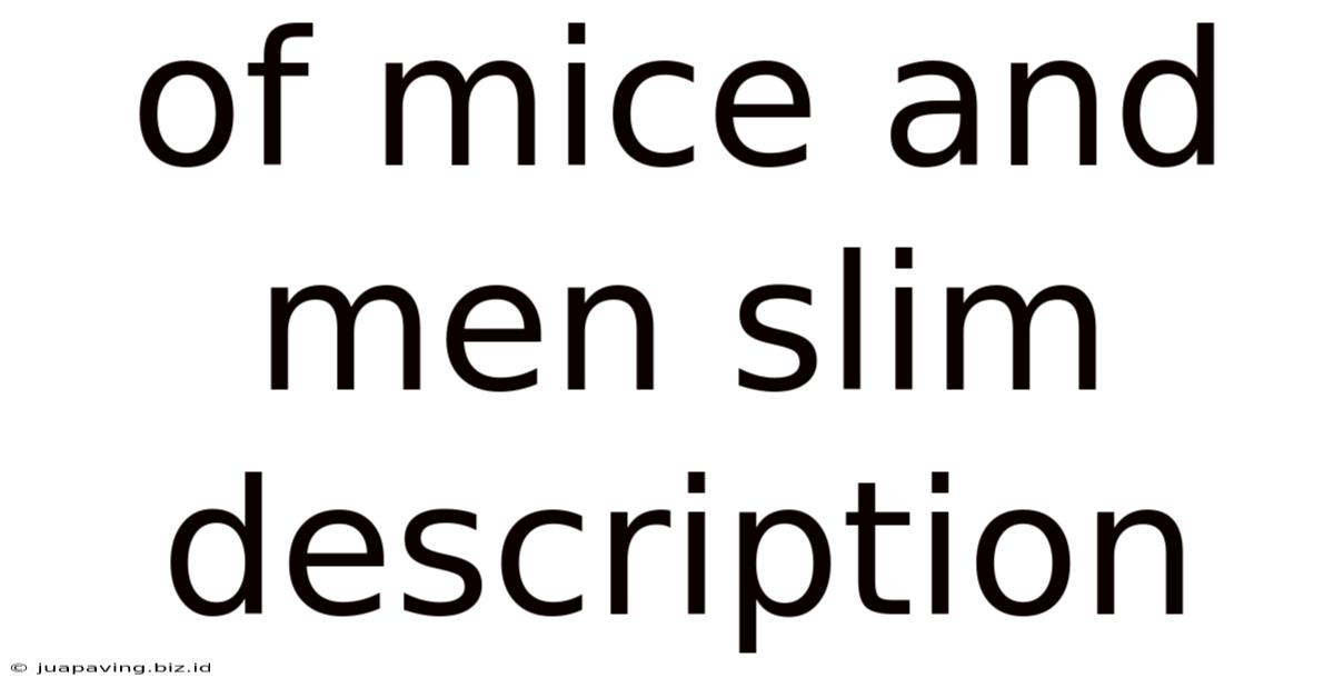 Of Mice And Men Slim Description
