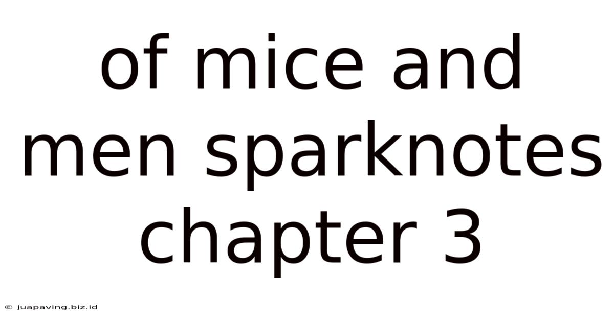 Of Mice And Men Sparknotes Chapter 3