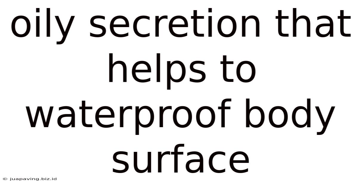 Oily Secretion That Helps To Waterproof Body Surface