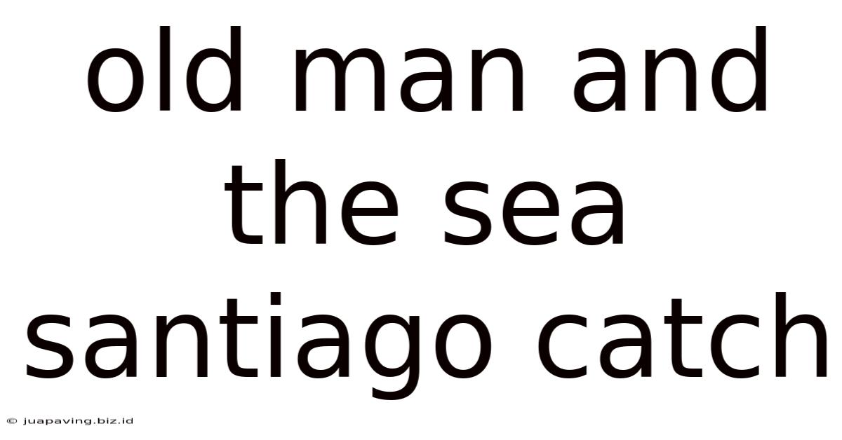 Old Man And The Sea Santiago Catch