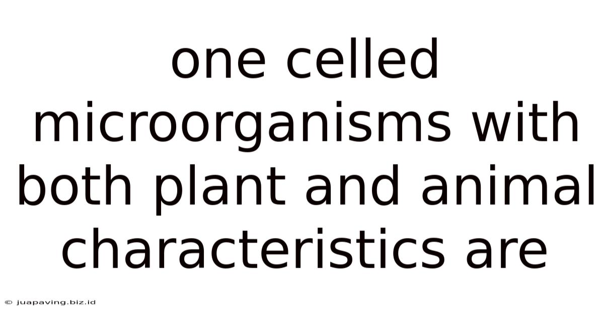 One Celled Microorganisms With Both Plant And Animal Characteristics Are