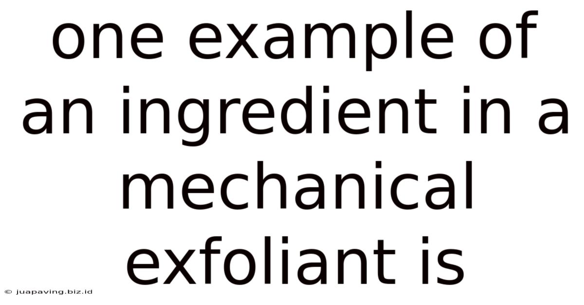 One Example Of An Ingredient In A Mechanical Exfoliant Is