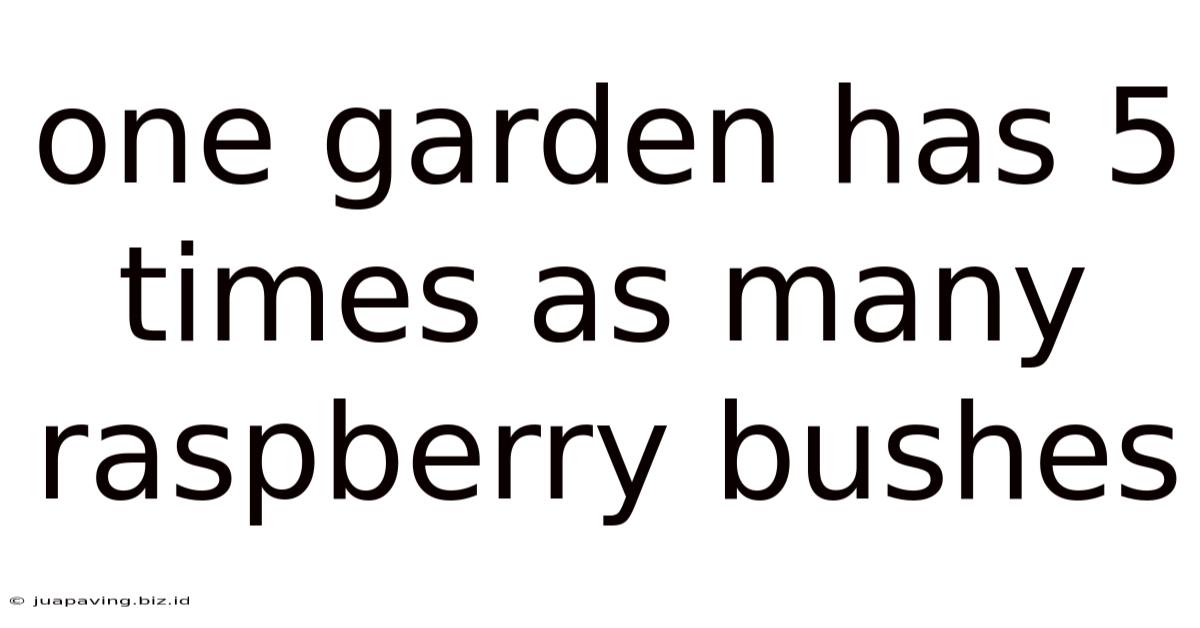 One Garden Has 5 Times As Many Raspberry Bushes