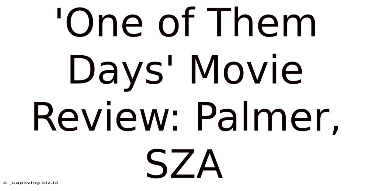 'One Of Them Days' Movie Review: Palmer, SZA