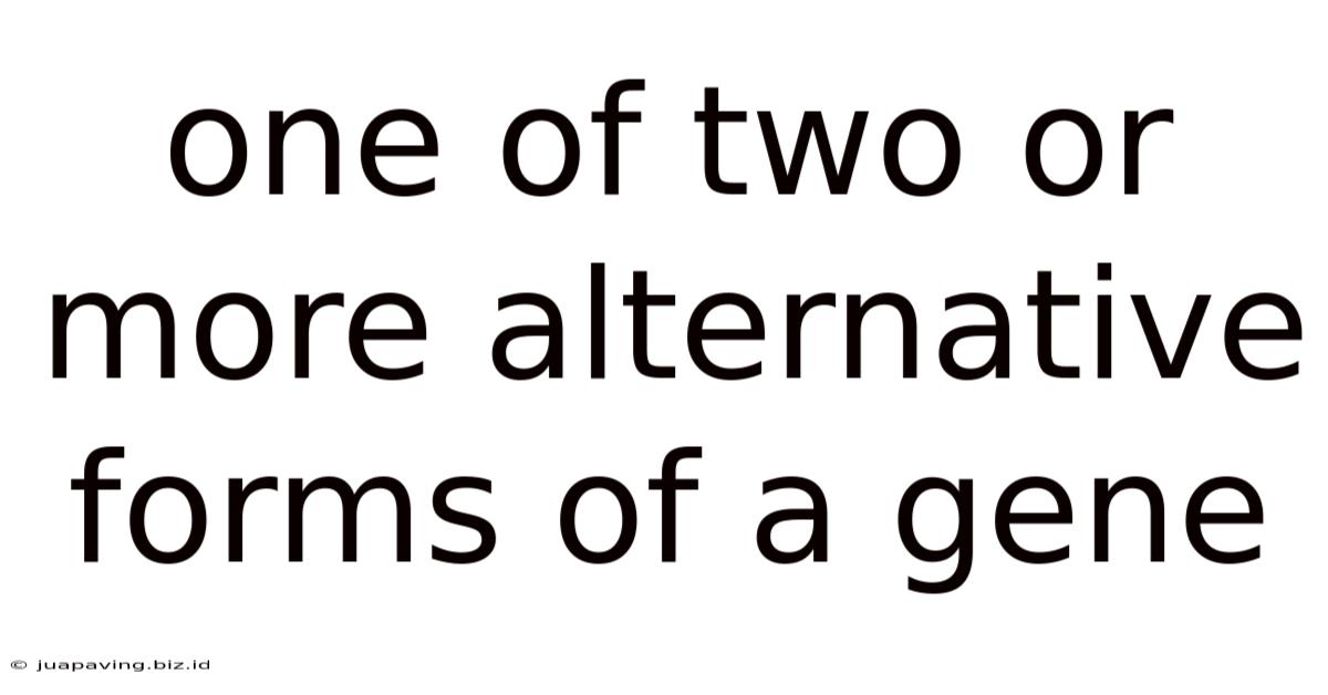 One Of Two Or More Alternative Forms Of A Gene
