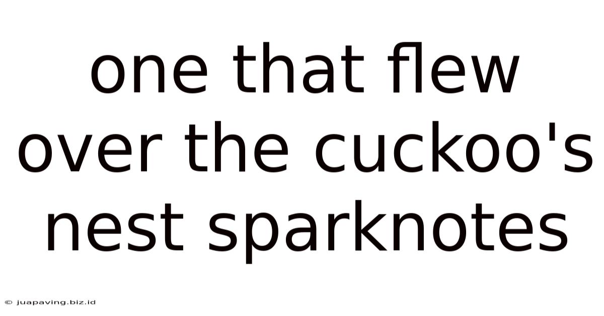 One That Flew Over The Cuckoo's Nest Sparknotes