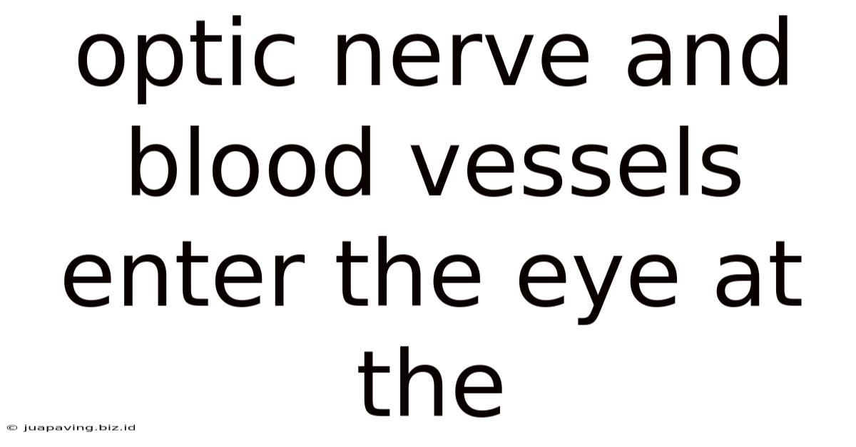 Optic Nerve And Blood Vessels Enter The Eye At The