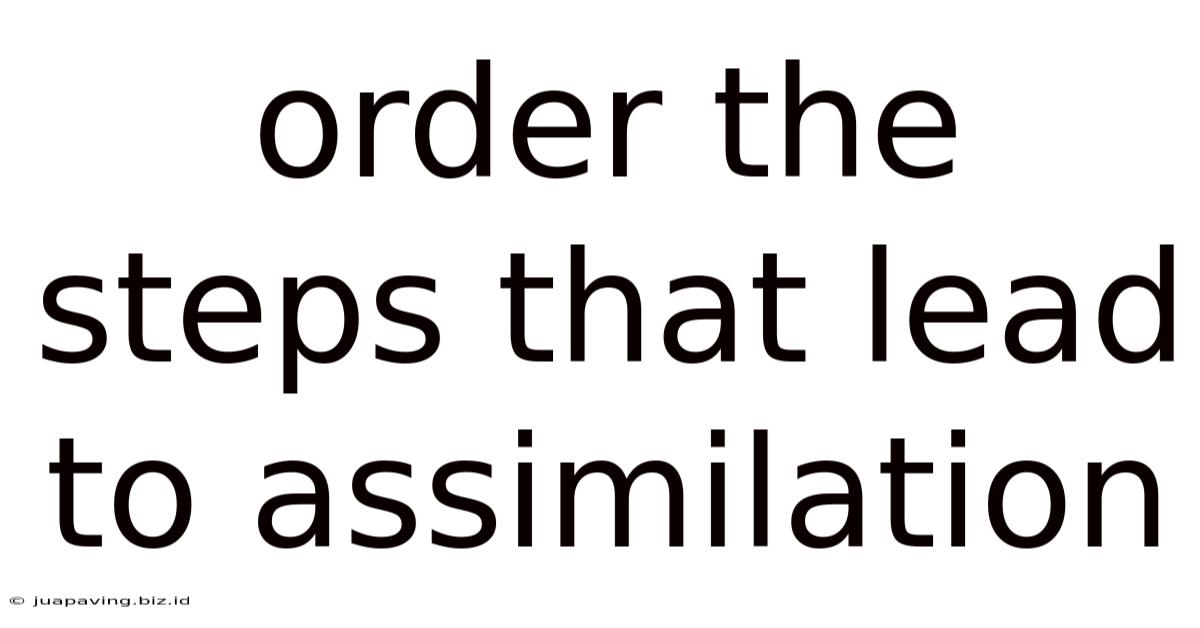 Order The Steps That Lead To Assimilation