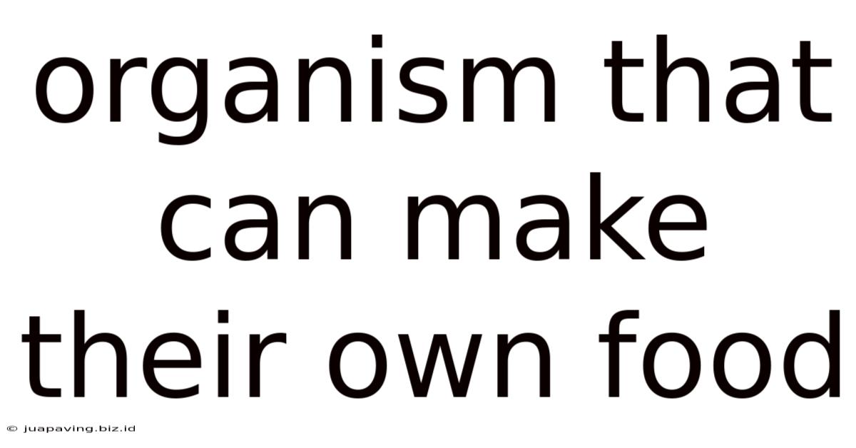 Organism That Can Make Their Own Food