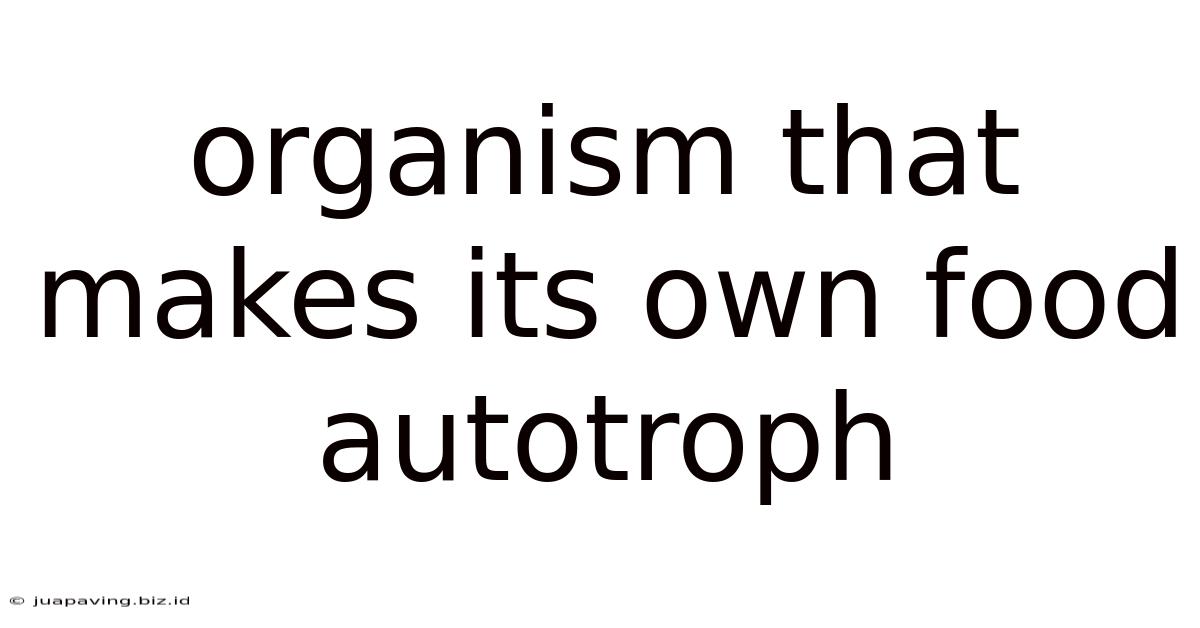 Organism That Makes Its Own Food Autotroph