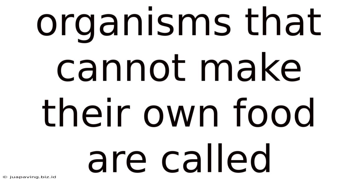 Organisms That Cannot Make Their Own Food Are Called
