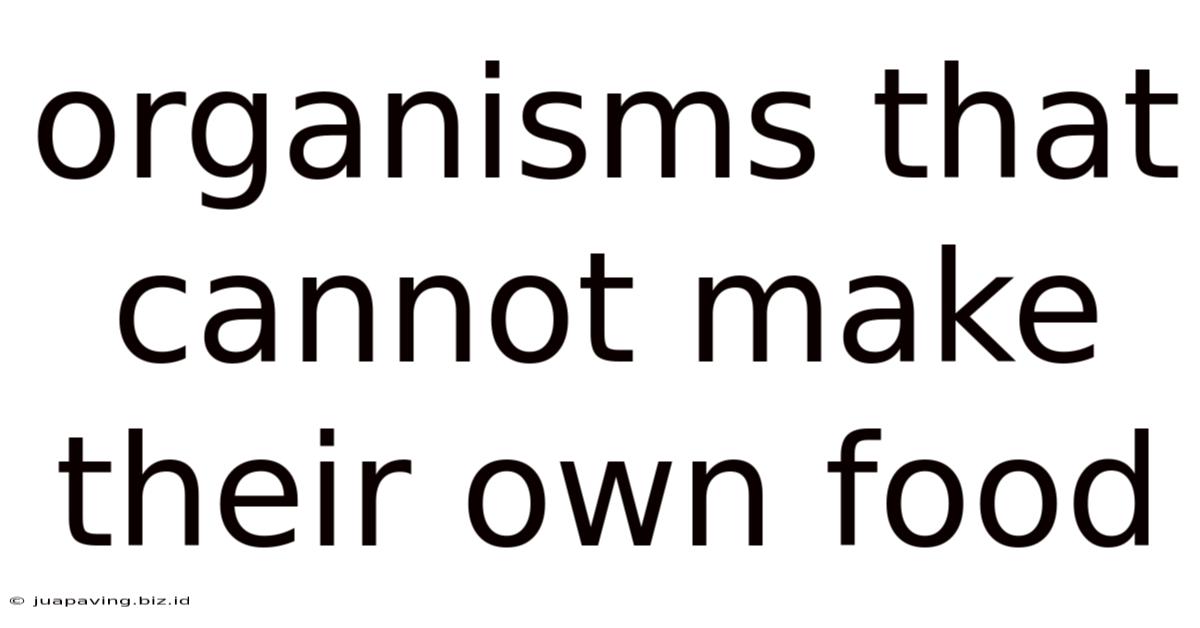 Organisms That Cannot Make Their Own Food